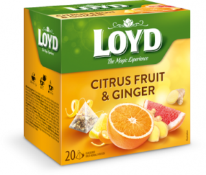 Чай в пірамідках Loyd Citrus Fruir & Ginger цитрус-імбир 20 пакетів
