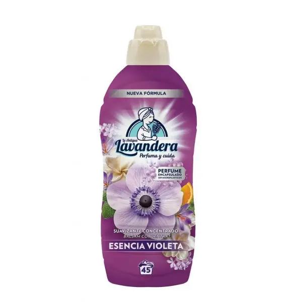 Lavandera violeta