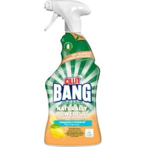 Універсальний засіб для чищення Silit Bang 750мл (12/ящ)