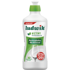Плин для посуди Ludwik 900мл м'ята (12/ящ) (5900498028331)